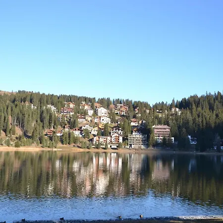 Bisang L Appartamento Arosa